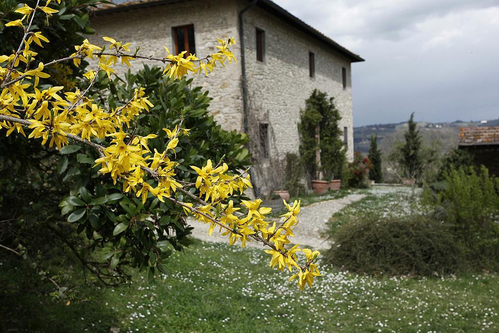 Corzano E Paterno Séjour à la ferme San Casciano in Val di Pesa